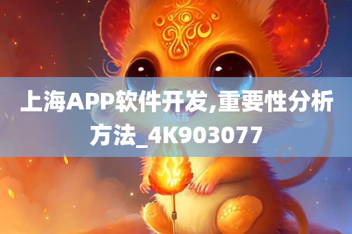 上海APP软件开发,重要性分析方法_4K903077