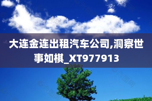 大连金连出租汽车公司,洞察世事如棋_XT977913