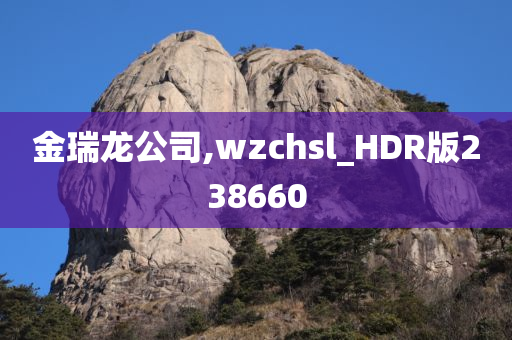 金瑞龙公司,wzchsl_HDR版238660