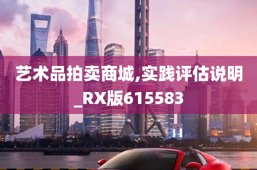 艺术品拍卖商城,实践评估说明_RX版615583