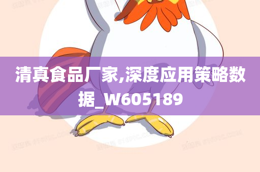 清真食品厂家,深度应用策略数据_W605189