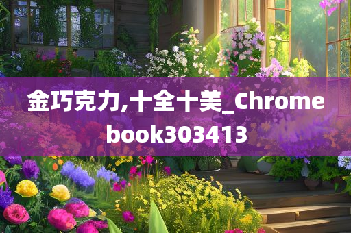 金巧克力,十全十美_Chromebook303413