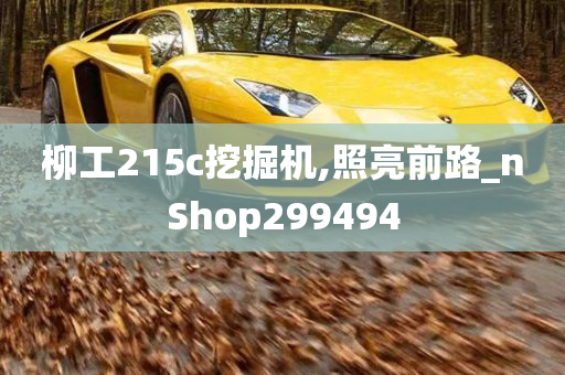 柳工215c挖掘机,照亮前路_nShop299494