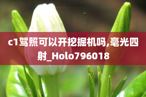 c1驾照可以开挖掘机吗,毫光四射_Holo796018