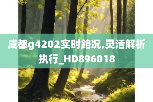 成都g4202实时路况,灵活解析执行_HD896018