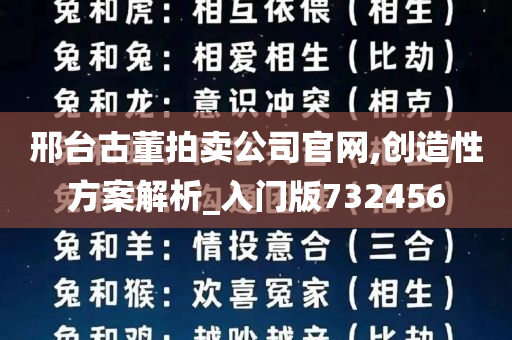 邢台古董拍卖公司官网,创造性方案解析_入门版732456