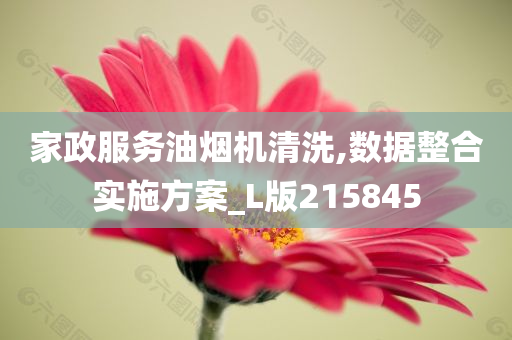 家政服务油烟机清洗,数据整合实施方案_L版215845