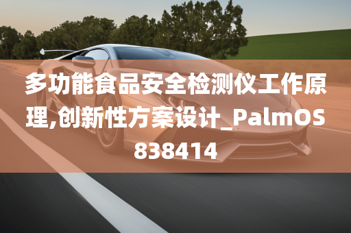 多功能食品安全检测仪工作原理,创新性方案设计_PalmOS838414