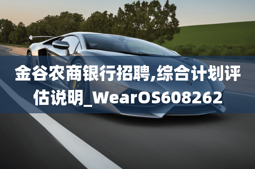 金谷农商银行招聘,综合计划评估说明_WearOS608262