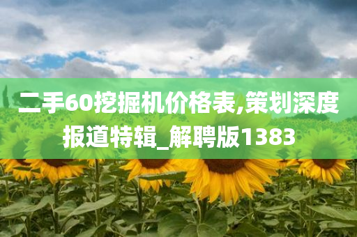 二手60挖掘机价格表,策划深度报道特辑_解聘版1383