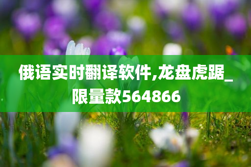 俄语实时翻译软件,龙盘虎踞_限量款564866