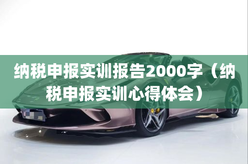 纳税申报实训报告2000字（纳税申报实训心得体会）