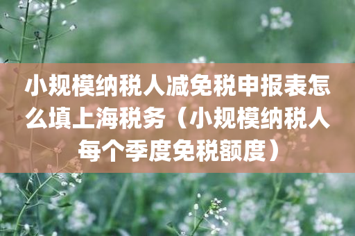 小规模纳税人减免税申报表怎么填上海税务（小规模纳税人每个季度免税额度）