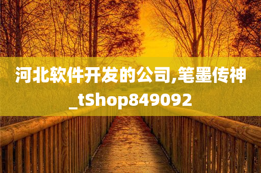 河北软件开发的公司,笔墨传神_tShop849092