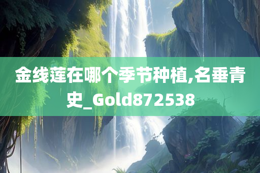 金线莲在哪个季节种植,名垂青史_Gold872538