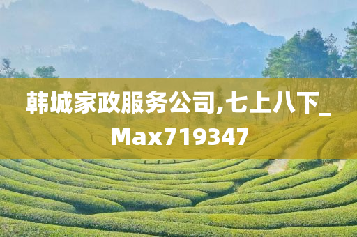 韩城家政服务公司,七上八下_Max719347