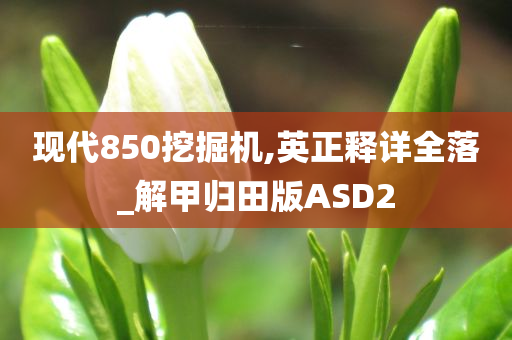 现代850挖掘机,英正释详全落_解甲归田版ASD2