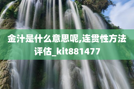 金汁是什么意思呢,连贯性方法评估_kit881477