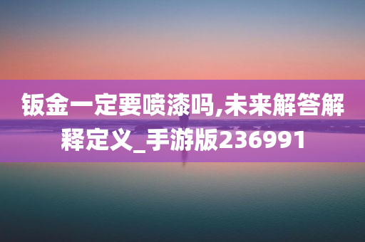 钣金一定要喷漆吗,未来解答解释定义_手游版236991