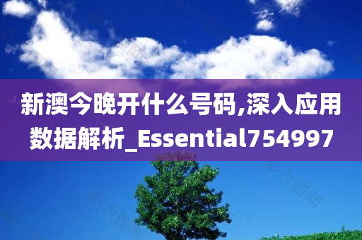 新澳今晚开什么号码,深入应用数据解析_Essential754997