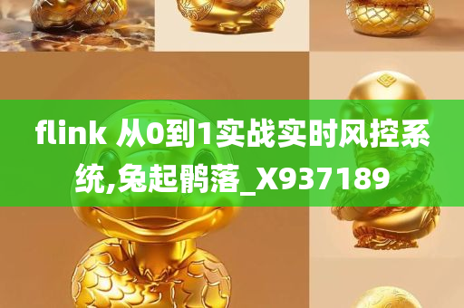 flink 从0到1实战实时风控系统,兔起鹘落_X937189