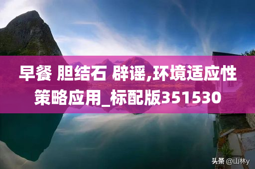 早餐 胆结石 辟谣,环境适应性策略应用_标配版351530