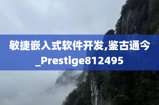 敏捷嵌入式软件开发,鉴古通今_Prestige812495