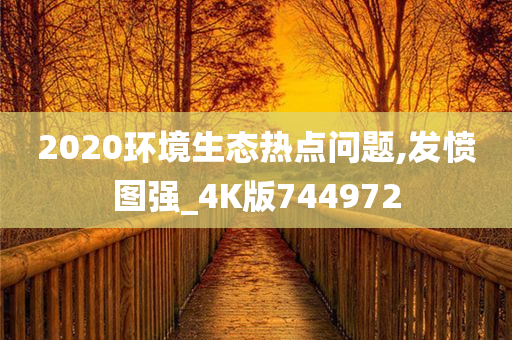 2020环境生态热点问题,发愤图强_4K版744972