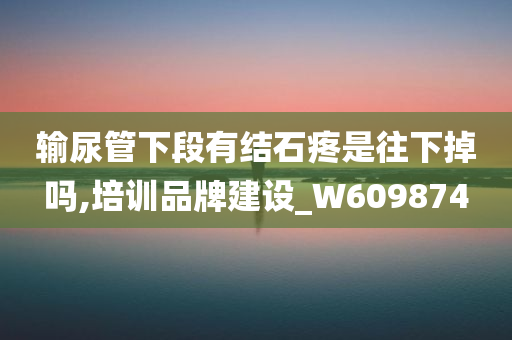 输尿管下段有结石疼是往下掉吗,培训品牌建设_W609874