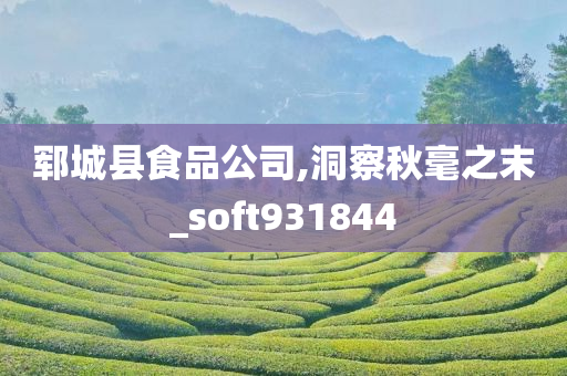 郓城县食品公司,洞察秋毫之末_soft931844