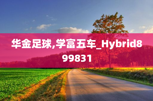 华金足球,学富五车_Hybrid899831