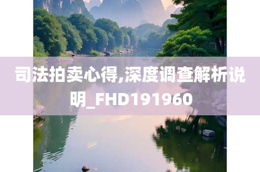 司法拍卖心得,深度调查解析说明_FHD191960