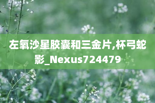 左氧沙星胶囊和三金片,杯弓蛇影_Nexus724479