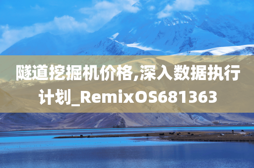 隧道挖掘机价格,深入数据执行计划_RemixOS681363