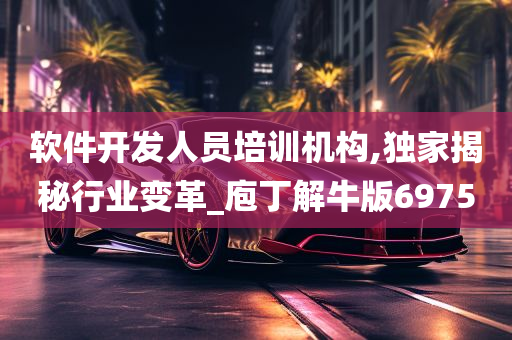 软件开发人员培训机构,独家揭秘行业变革_庖丁解牛版6975