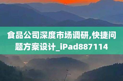 食品公司深度市场调研,快捷问题方案设计_iPad887114