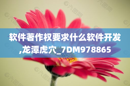 软件著作权要求什么软件开发,龙潭虎穴_7DM978865