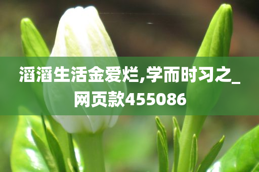 滔滔生活金爱烂,学而时习之_网页款455086