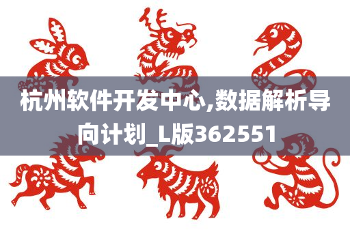 杭州软件开发中心,数据解析导向计划_L版362551