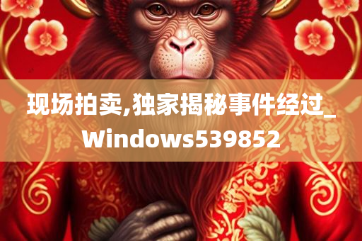 现场拍卖,独家揭秘事件经过_Windows539852