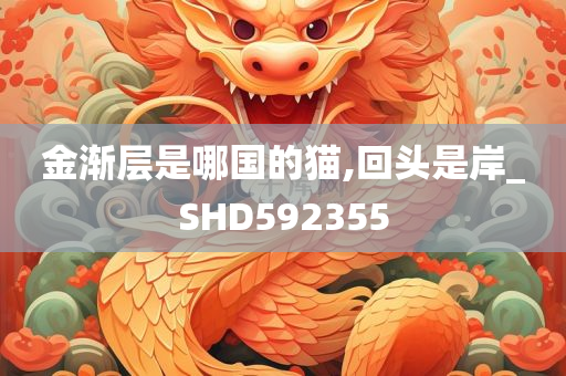 金渐层是哪国的猫,回头是岸_SHD592355