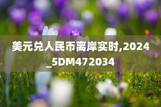 美元兑人民币离岸实时,2024_5DM472034