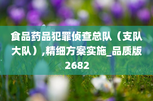 食品药品犯罪侦查总队（支队大队）,精细方案实施_品质版2682