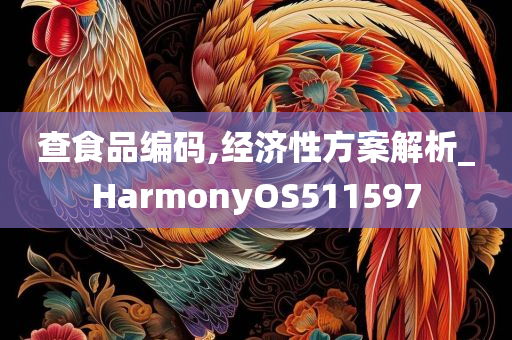 查食品编码,经济性方案解析_HarmonyOS511597