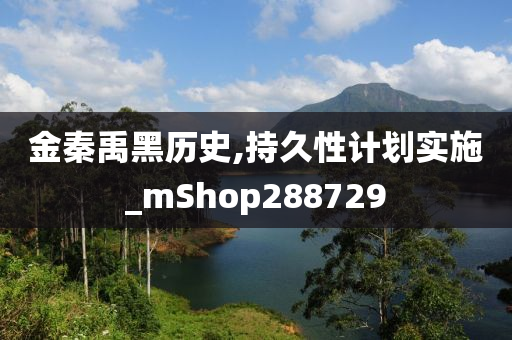 金秦禹黑历史,持久性计划实施_mShop288729