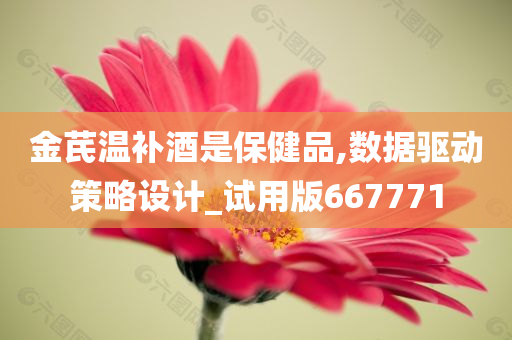 金芪温补酒是保健品,数据驱动策略设计_试用版667771