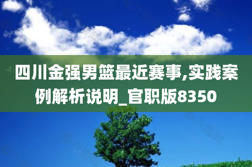 四川金强男篮最近赛事,实践案例解析说明_官职版8350