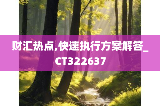 财汇热点,快速执行方案解答_CT322637