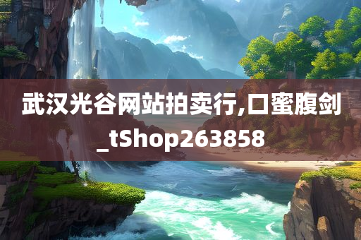 武汉光谷网站拍卖行,口蜜腹剑_tShop263858