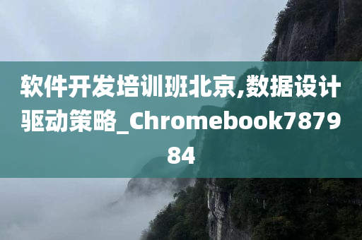 软件开发培训班北京,数据设计驱动策略_Chromebook787984